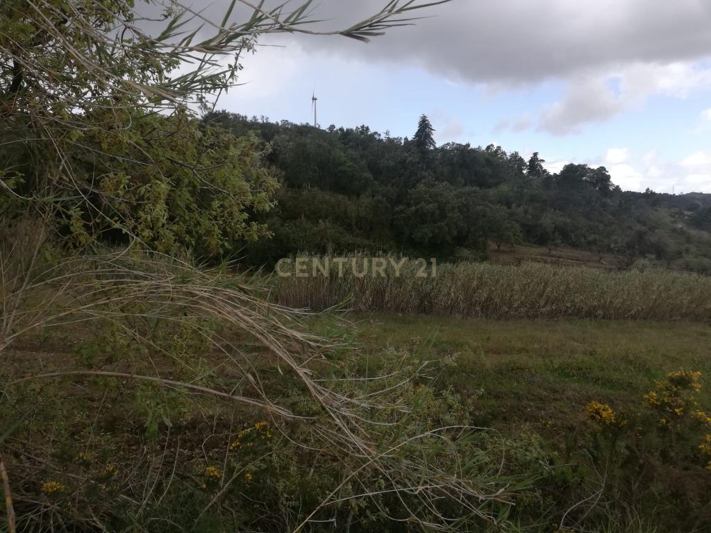  Terreno Agrícola na Zona Oeste - Image 12